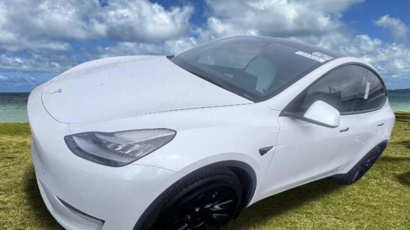 TESLA MODEL Y 2021 5YJYGDED9MF132571 image